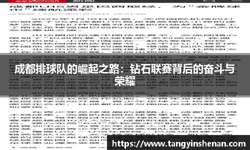 成都排球队的崛起之路：钻石联赛背后的奋斗与荣耀